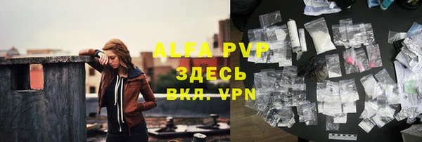 стафф Алексин