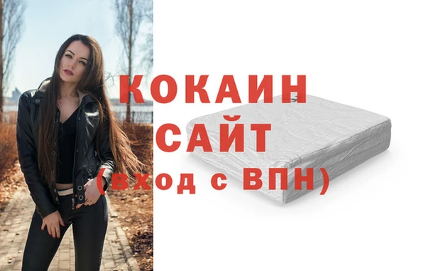 стафф Алексин