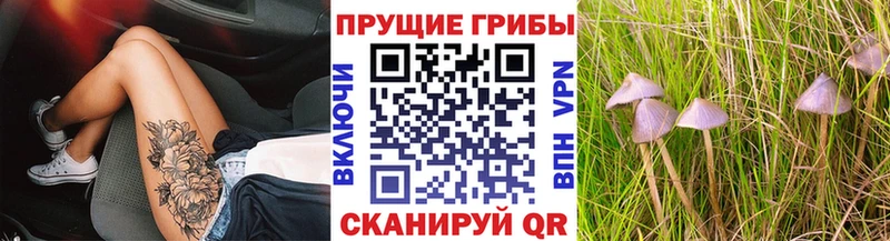 наркошоп  mega рабочий сайт  Галлюциногенные грибы мицелий  Ленинск-Кузнецкий 