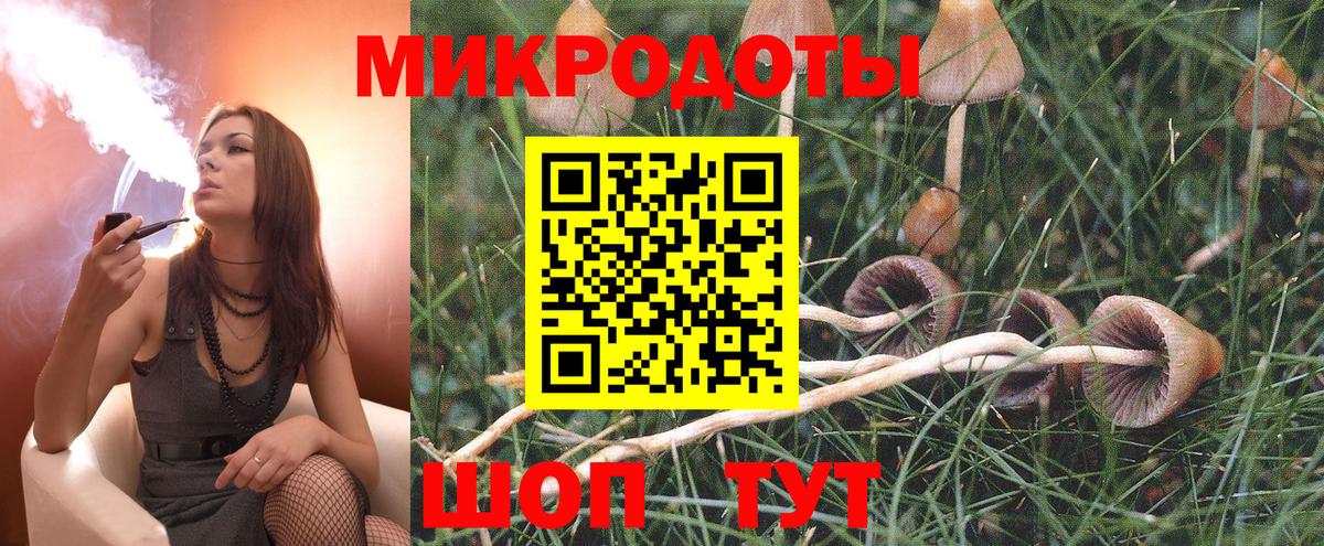 Галлюциногенные грибы мицелий Ленинск-Кузнецкий